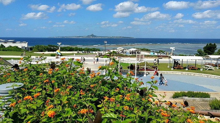 美ら海水族館から伊江島を望む  手前の花に黒いチョウが乱舞していました